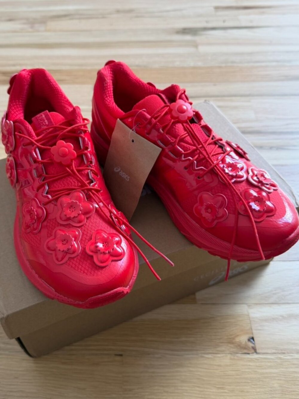 CECILIE BAHNSEN x ASICS GEL TERRAIN RED